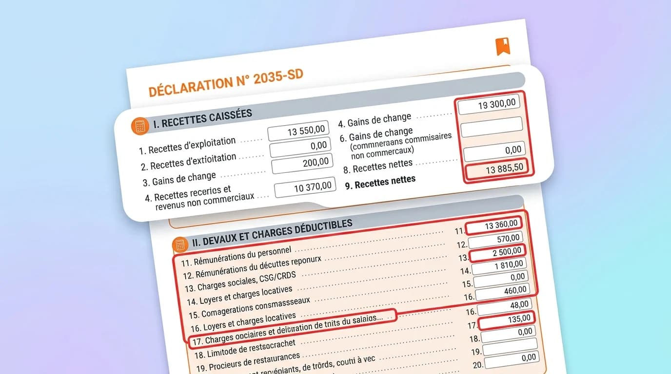 Capture du formulaire 2035-SD avec cases recettes encaissées et charges déductibles entourées en rouge sur fond bleu administratif